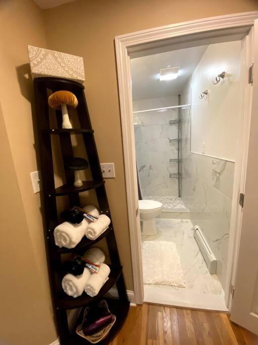 Apartment Cozy Getaway Apartment! Free Parking *