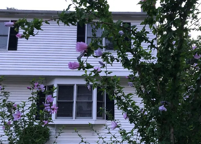 Room In Single Family House - Suburban Neighborhood In Boston