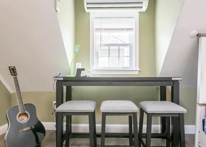 Large Studio Open Concept In Boston Zoo Franklin Park Near