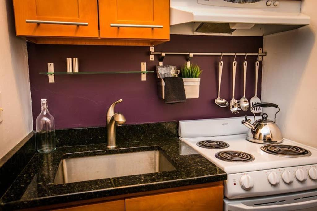 Apartment Downtown Apt, Near Tufts Med, Bmc, Mgh