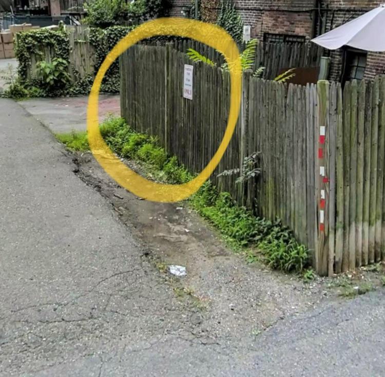 Apartment Parking - Private Entrance - King Beds Boston