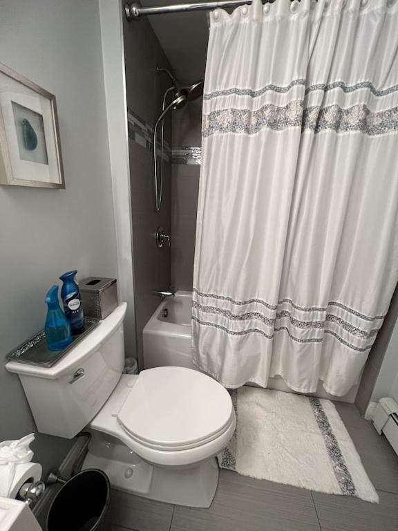Apartment Location+comfort+convenience