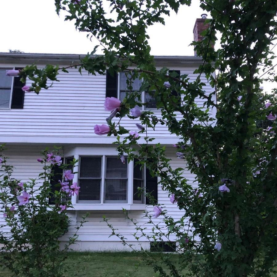 In Single Family House - Suburban Neighborhood In * Boston