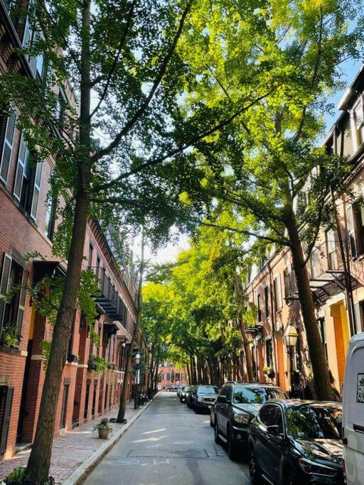 Apartment Luxury - Pet Friendly 3bd, 3ba South End