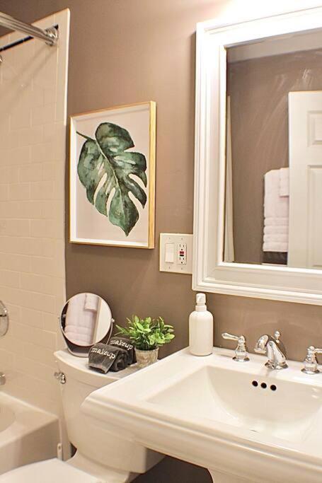 Apartment Luxury - Pet Friendly 3bd, 3ba South End