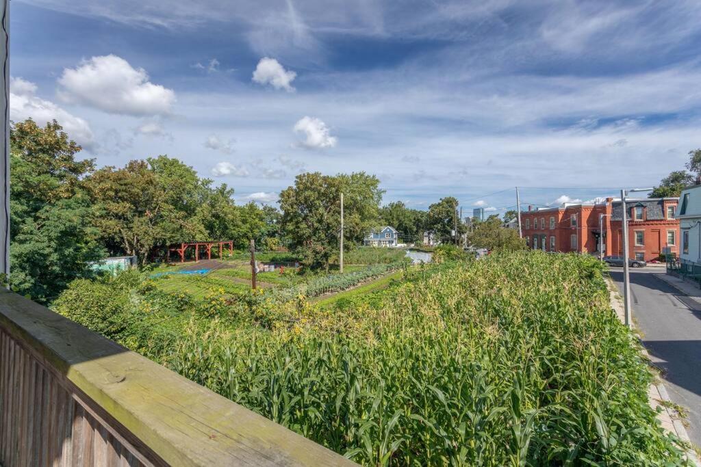 New! Near Mbta, 3mi To Fenway! *
