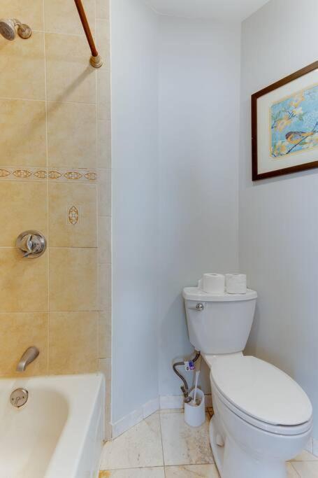 New! Near Mbta, 3 Mi To Fenway! Apartment