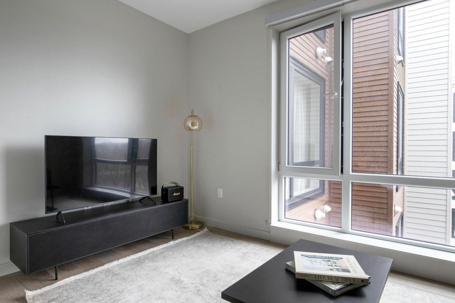 Brighton Jr 1br W Gym Wd On The River Bos-996 Apartment Boston