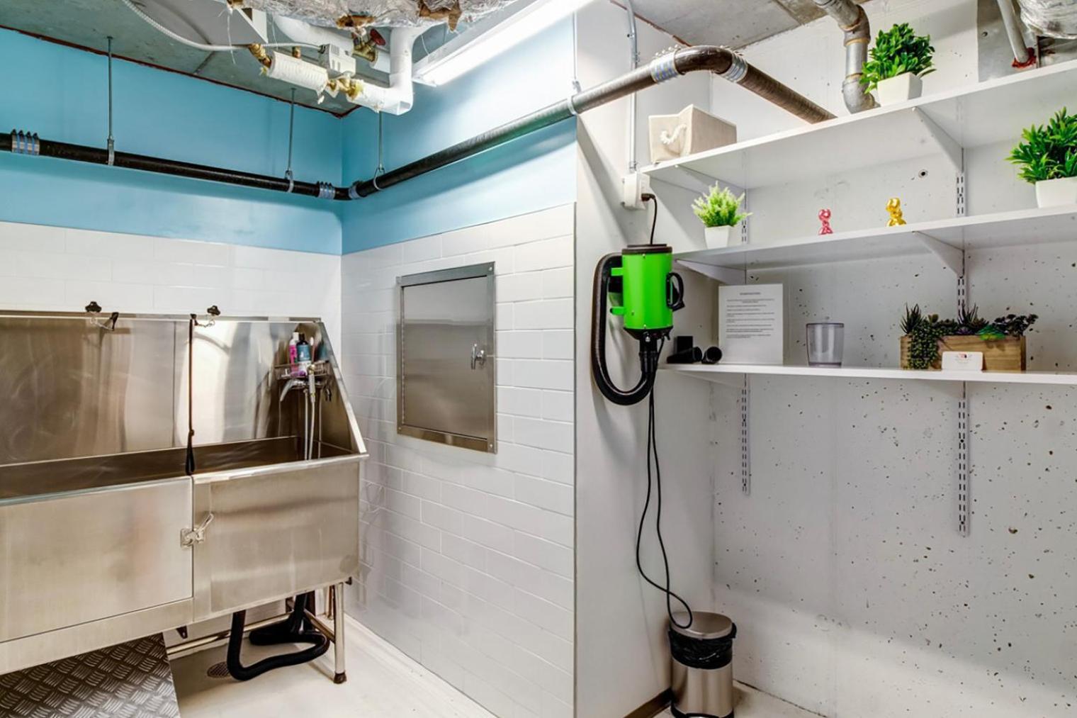 Downtown 1br W Gym Doorman Nr S Station Bos-246 Apartment Boston