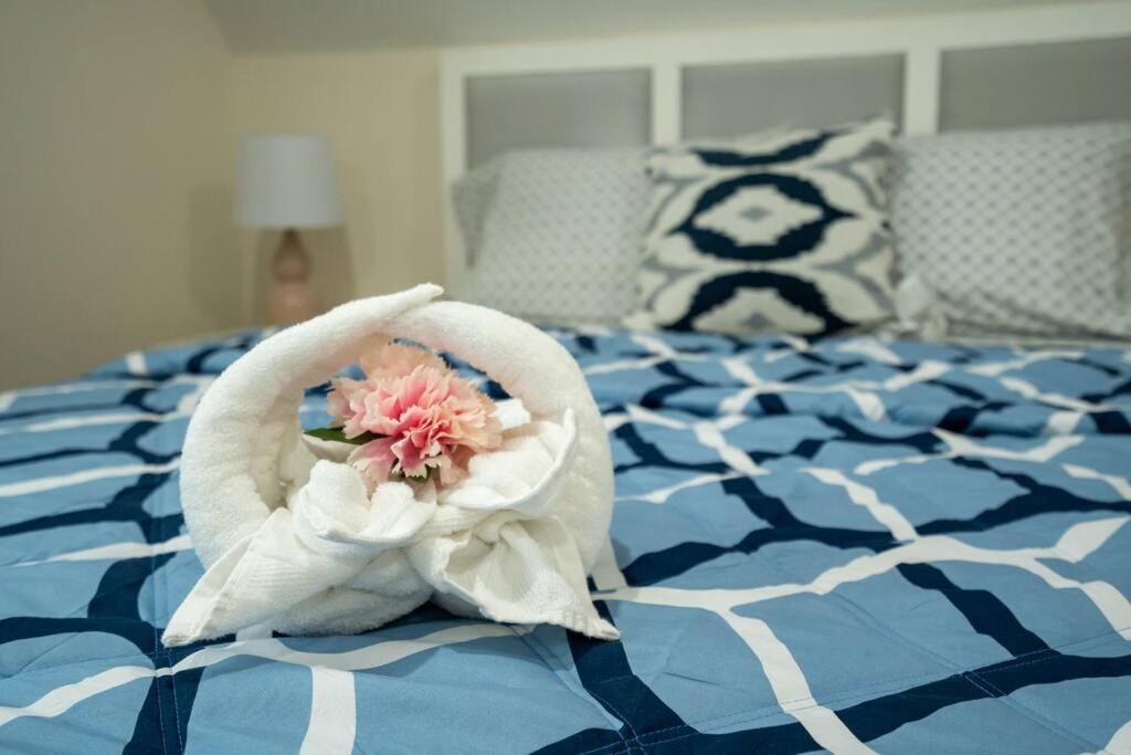 80-3 3Br Boston - Charming Apt Near Harvard Square Apartment *