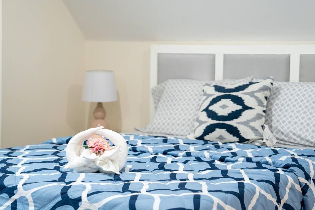80-3 3Br Boston - Charming Apt Near Harvard Square Apartment