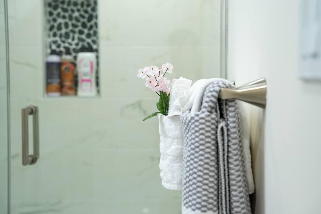 80-3 3Br Boston - Charming Apt Near Harvard Square