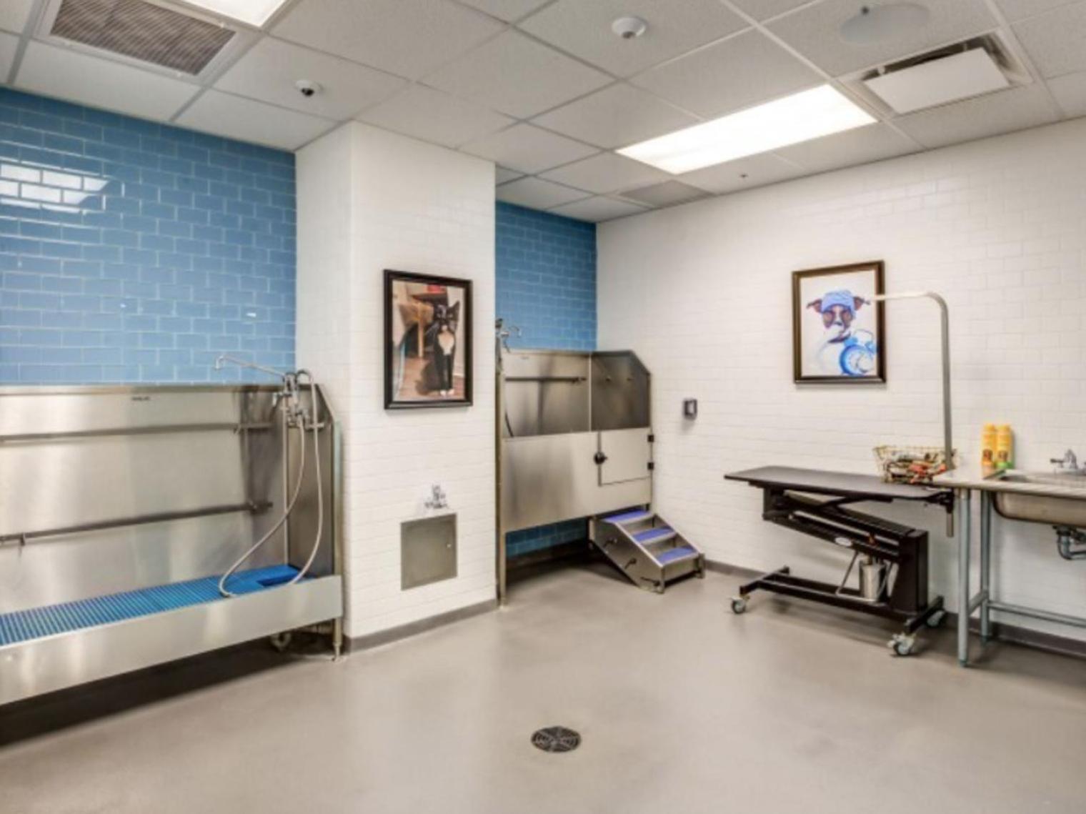 Newly Development 1br W Wd Gym In Cambridge Bos-486 *