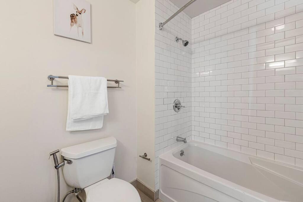 Tranquil 2 Bedroom 2ba With Stunning Views Apartment Boston