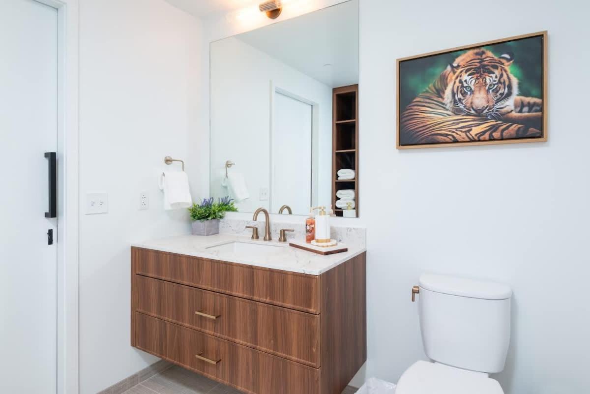 Back-bay Upscale Penthouse W Roof-top