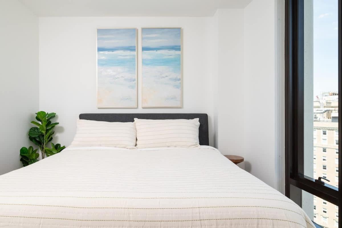 Back-bay Upscale Penthouse W Roof-top
