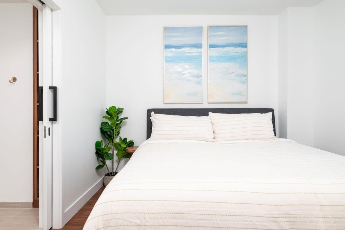 Back-bay Upscale Penthouse W Roof-top Apartment *