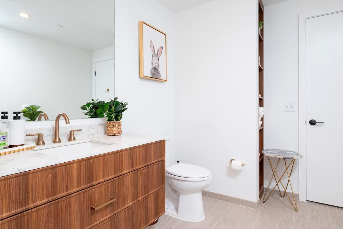Back-bay Upscale Penthouse W Roof-top