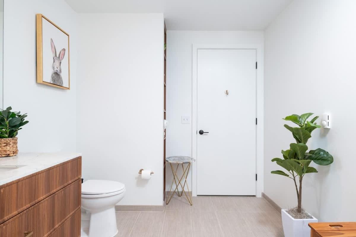 Back-bay Upscale Penthouse W Roof-top Apartment Boston