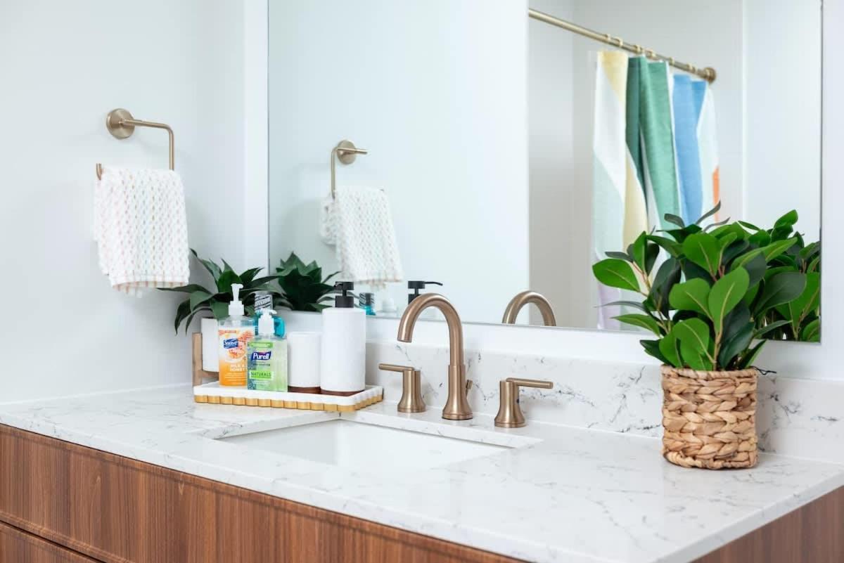 Back-bay Upscale Penthouse W Roof-top Apartment