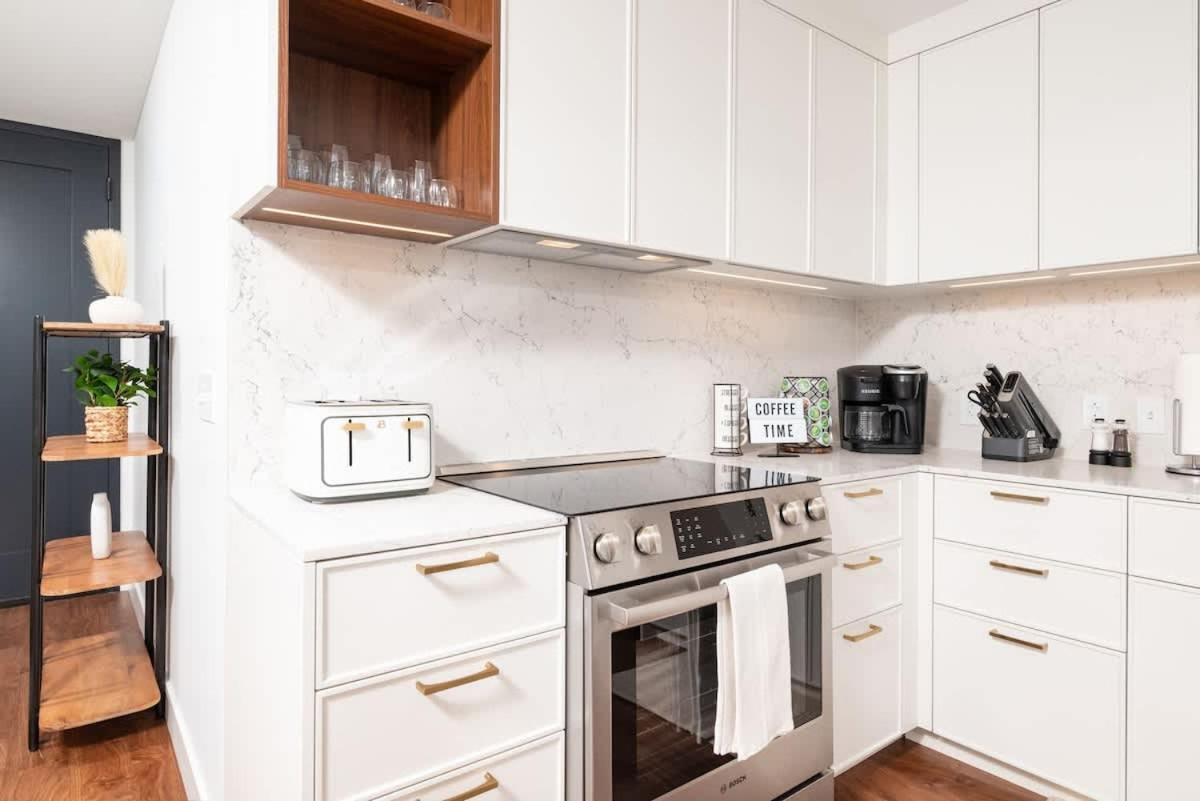Back-bay Upscale Penthouse W Roof-top Apartment