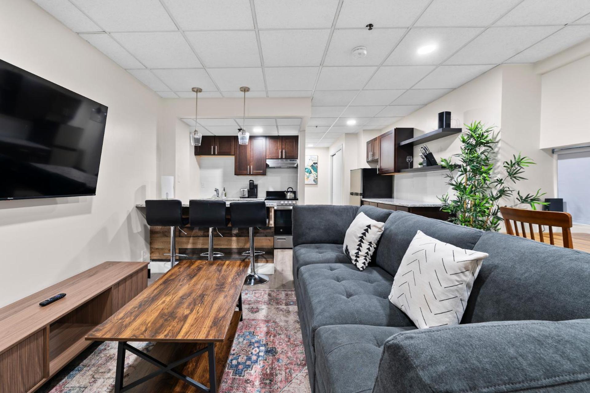 Apartment Furnished In Downtown Boston