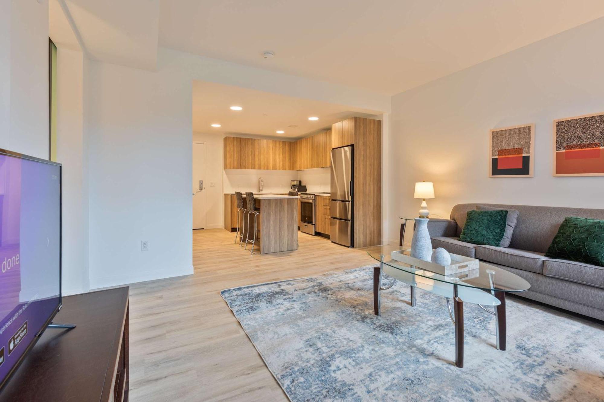 Luxury With Kitchen & Gym Apartment Boston