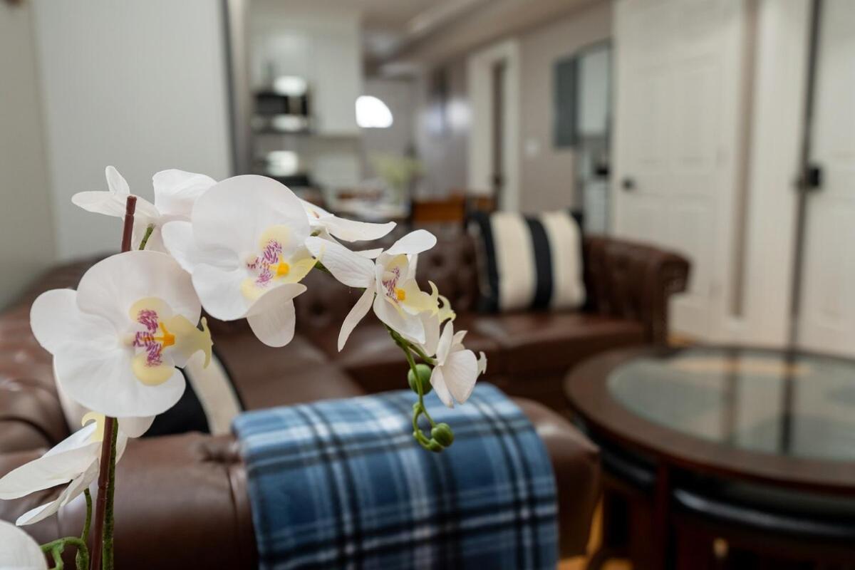 558-2 3Br Boston - Renovated Nest Near Aquarium *