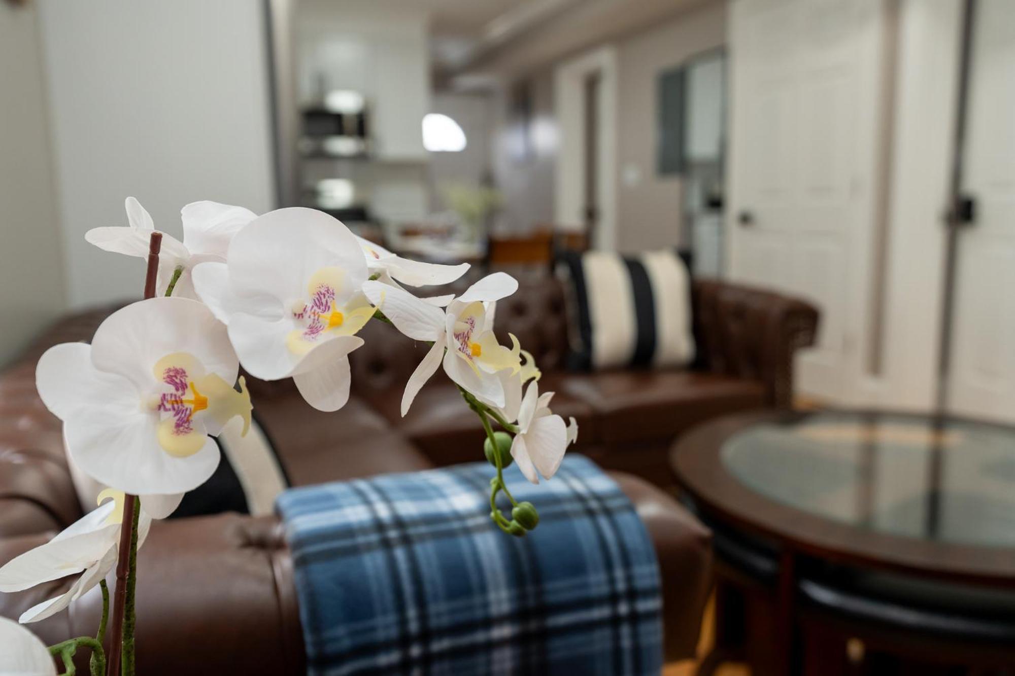 Apartment 558-1 3Br Boston - Renovated Nest Near Aquarium *