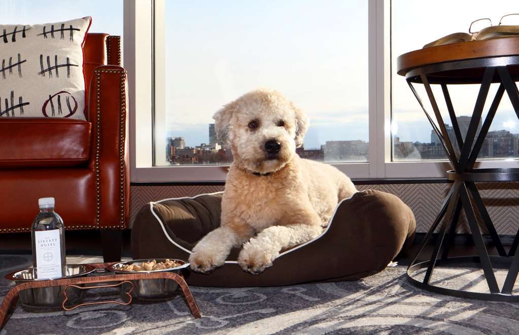 The Liberty, A Luxury Collection Hotel, Hotel 5*