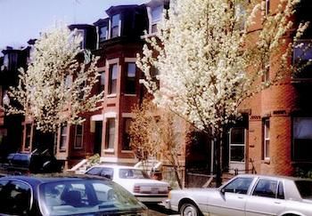 Brigham Circle Brownstone *