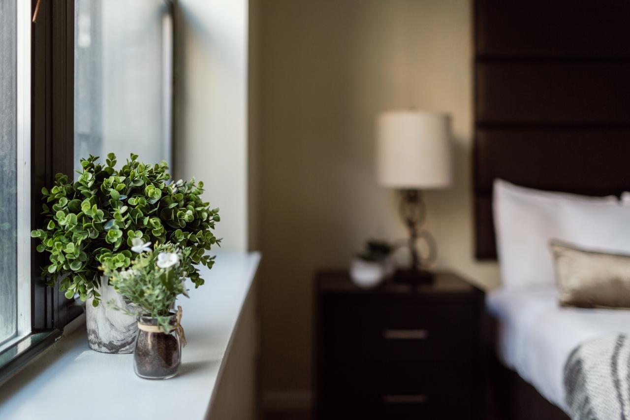 Apartment Alfred On Garrison Street Boston