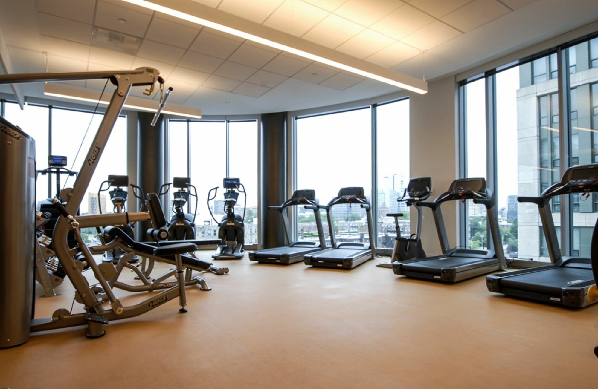 Global Luxury At Fenway Apartment Boston