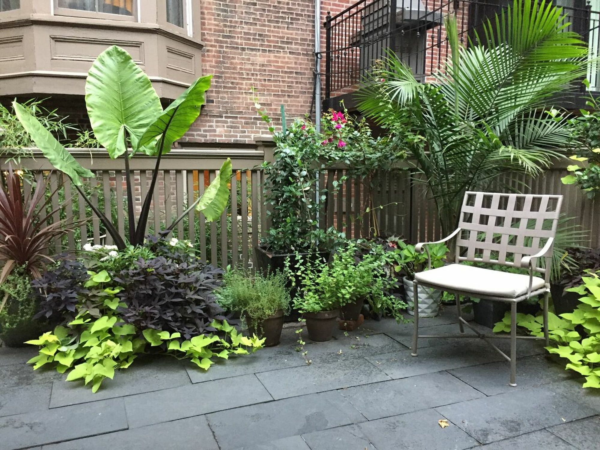 Clarendon Square 4*