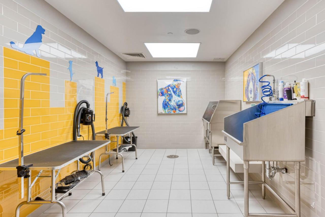 N Station 1br W Wd Gym Nr Td Garden Bos-706
