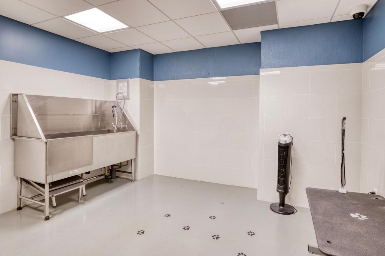 Apartment Beauty In Back Bay 1br W Gym Nr The Common Bos-419 *