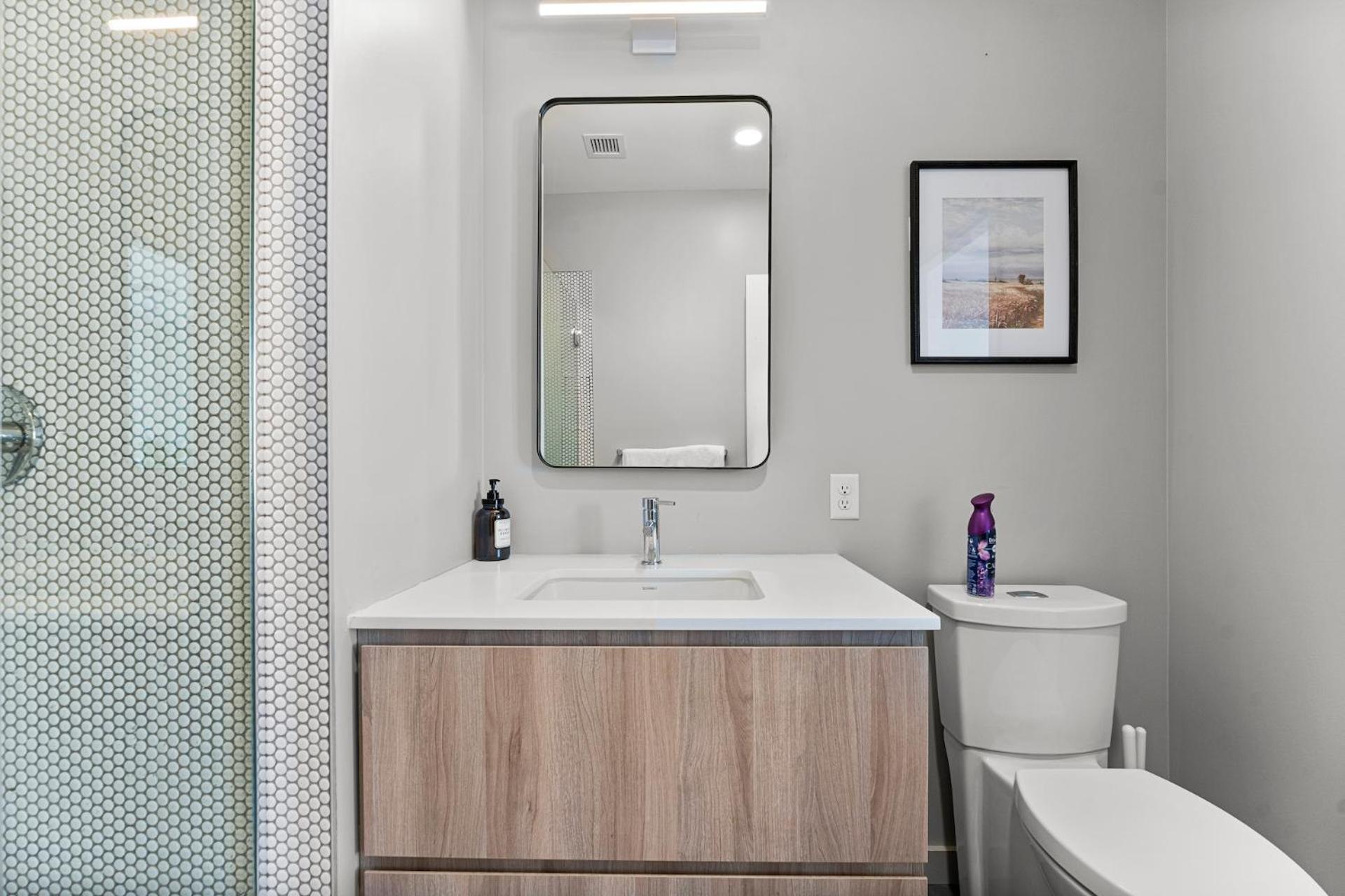 Apartment Furnished In South Boston