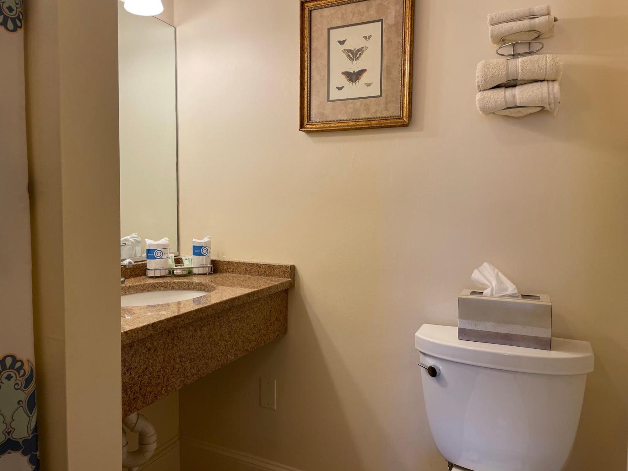 Oasis Guest house